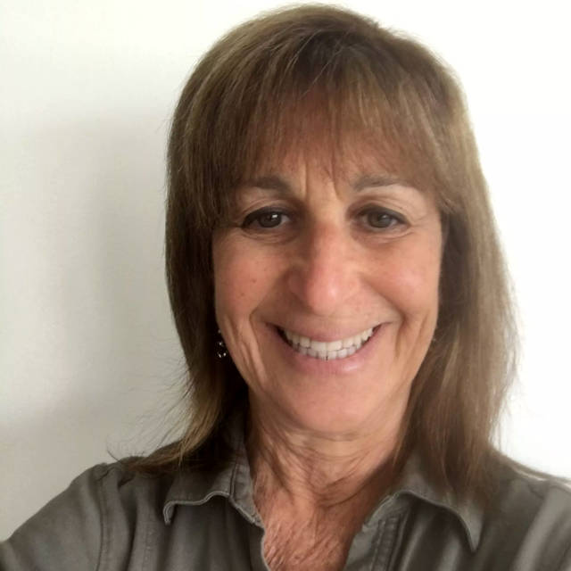 Lois Stein, DSW, LMSW