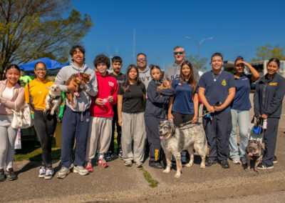 Dogwalk 58